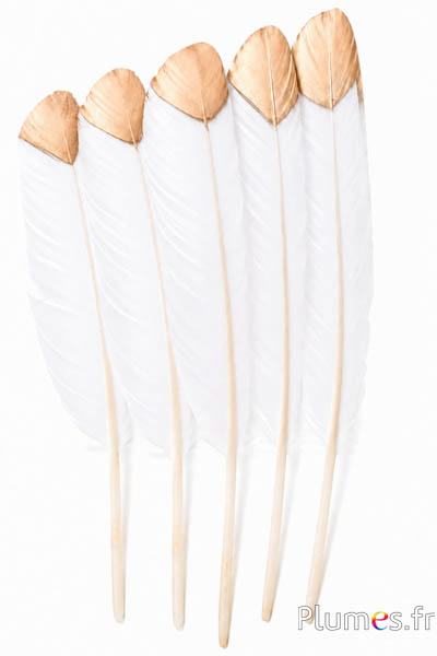 Cigno - 30-33 cm - bianco-dorato